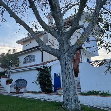 チッタ・サンタンジェロ Il Giardino Degli Uliviヴィラ エクステリア 写真