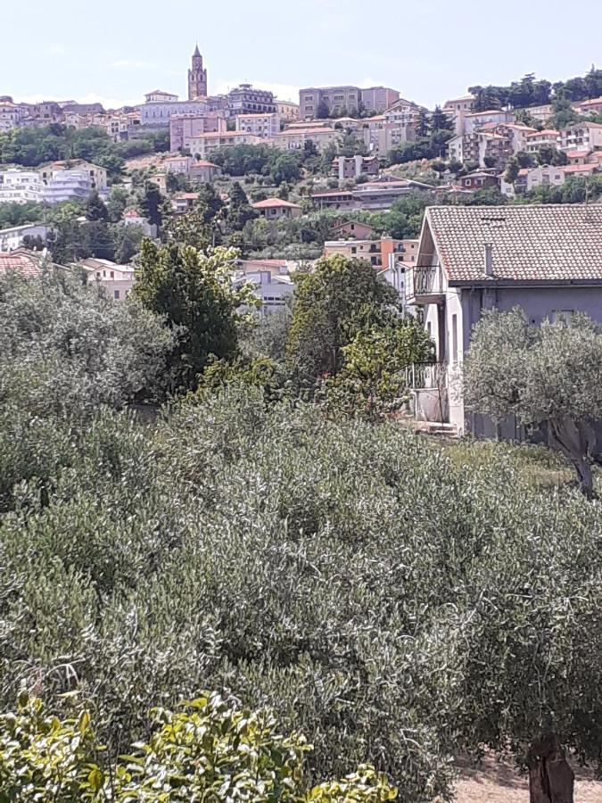 チッタ・サンタンジェロ Il Giardino Degli Uliviヴィラ エクステリア 写真